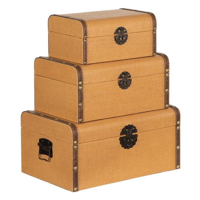 Set de Cufere 45 x 30 x 22 cm Ratan DMF (3 Piese)
