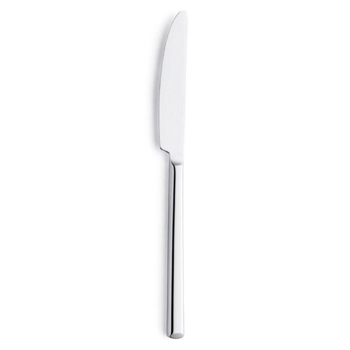 Set de Cuțite Amefa Metropole Metal 21 cm 12 Unități