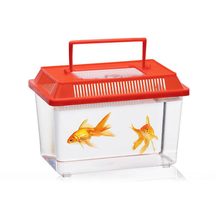 Cutie pentru insecte Lifetime