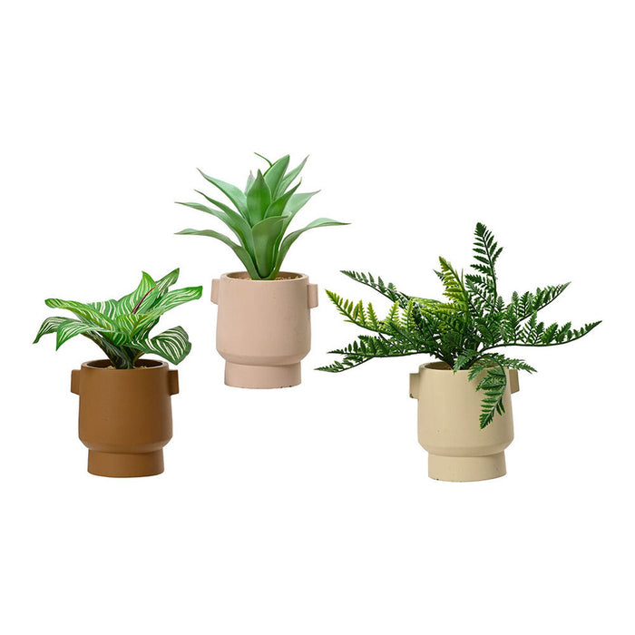 Plantă decorativă EDM 808559 Ghiveci 25 cm