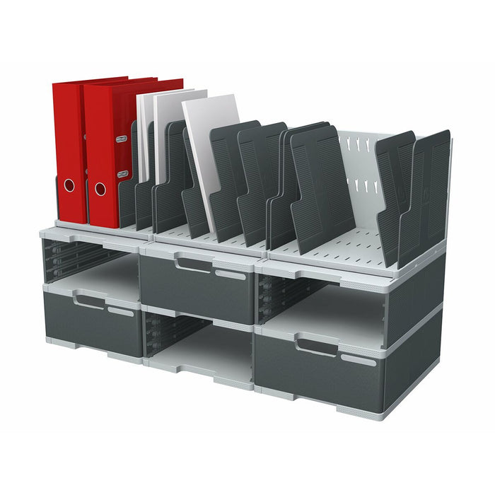 Separatoare Exacompta Gri polistiren 28 x 0,6 x 24 cm (2 Unități)