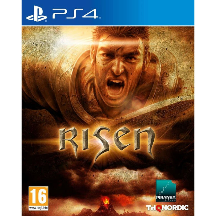 Joc video PlayStation 4 THQ Nordic Risen