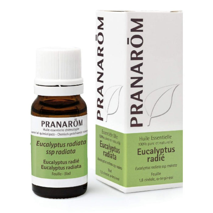 Ulei Esențial Pranarôm Eucalipt 10 ml