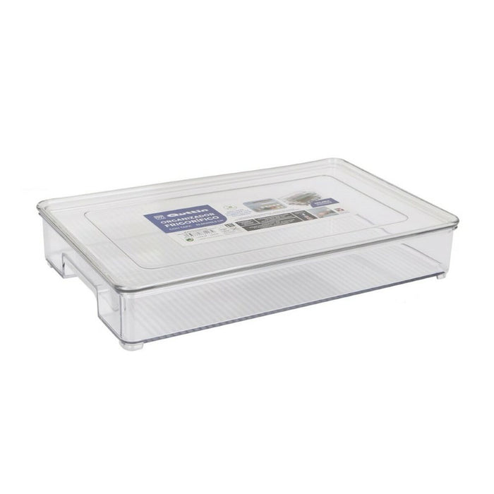 Organizator multifuncțional Quttin Cu Capac (32,5 x 20 x 5,5 cm)