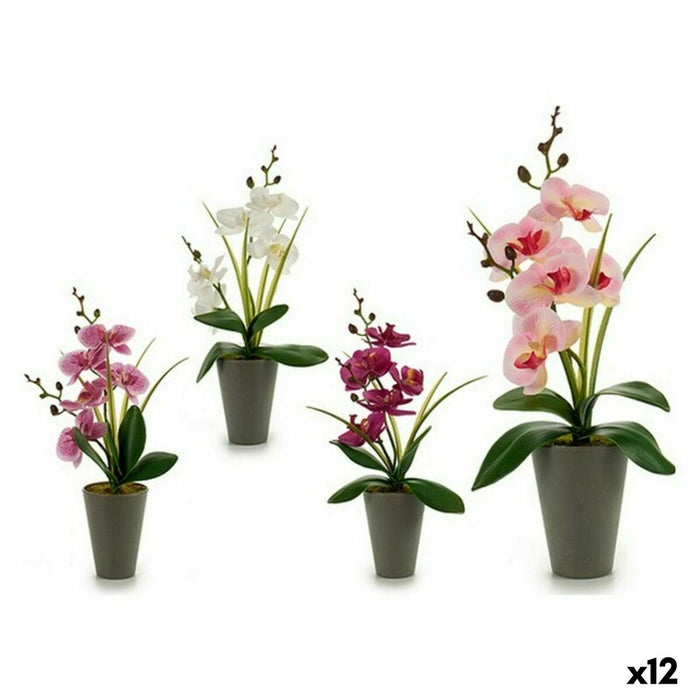 Plantă decorativă Orhidee Plastic 8 x 35 x 14 cm (12 Unități)