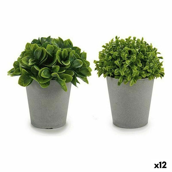 Plantă decorativă Plastic 13 x 17 x 13 cm (12 Unități)