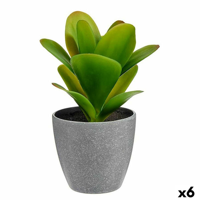 Plantă decorativă Plastic (6 Unități) (11 x 20 x 11 cm)