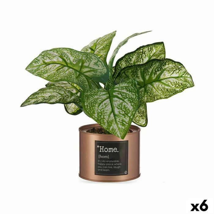Plantă decorativă Home Cupru Doză (26 x 26 x 26 cm) (6 Unități)