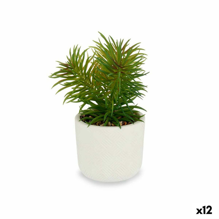 Plantă decorativă Alb Verde (14 x 20 x 14 cm) (12 Unități)