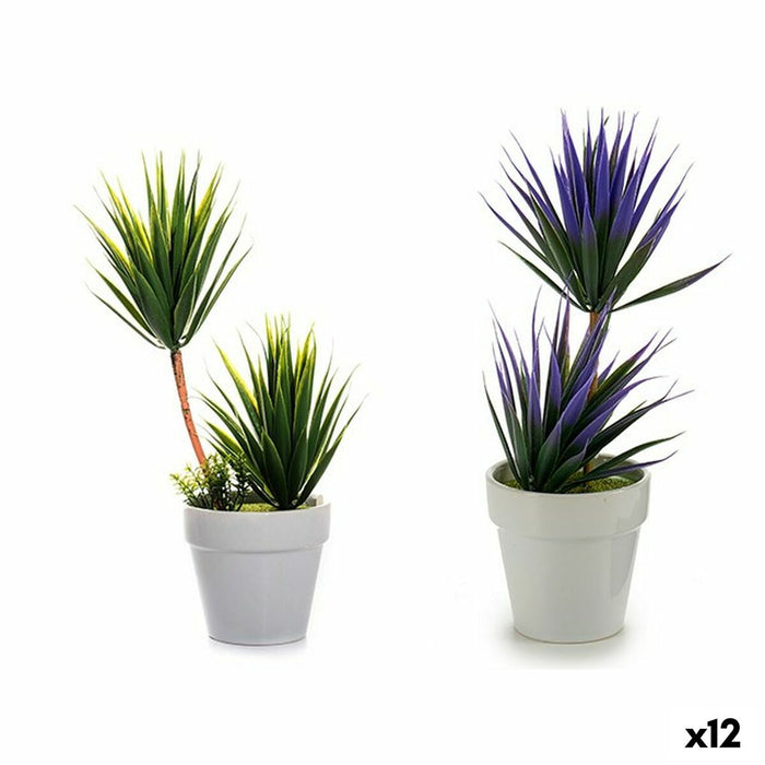 Plantă decorativă Suculent Ceramică Plastic 10 x 30 x 10 cm (12 Unități)