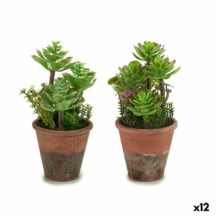 Plantă decorativă Suculent Plastic 16 x 23 x 16 cm (12 Unități)