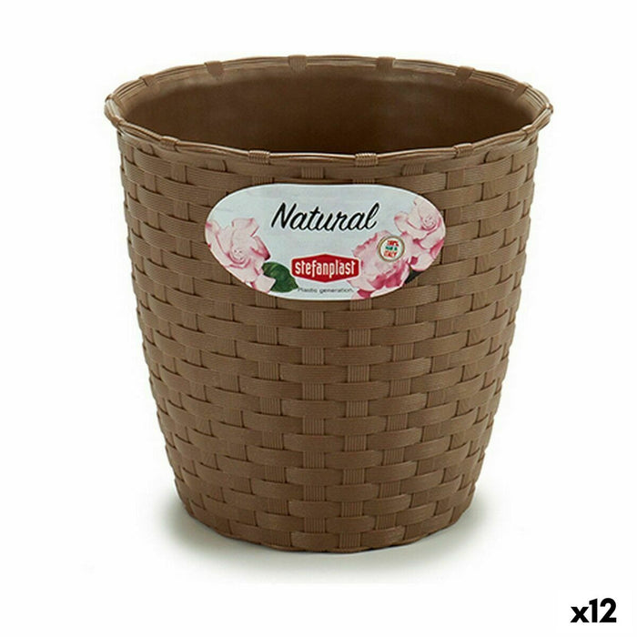 Ghiveci Stefanplast Maro Plastic 14 x 13 x 14 cm (12 Unități)