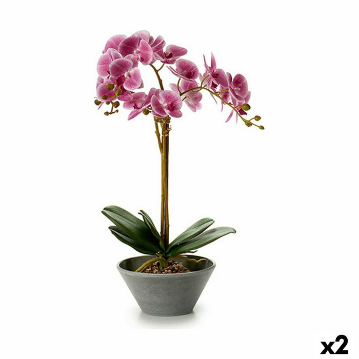 Plantă decorativă Orhidee 20 x 60 x 28 cm (2 Unități)