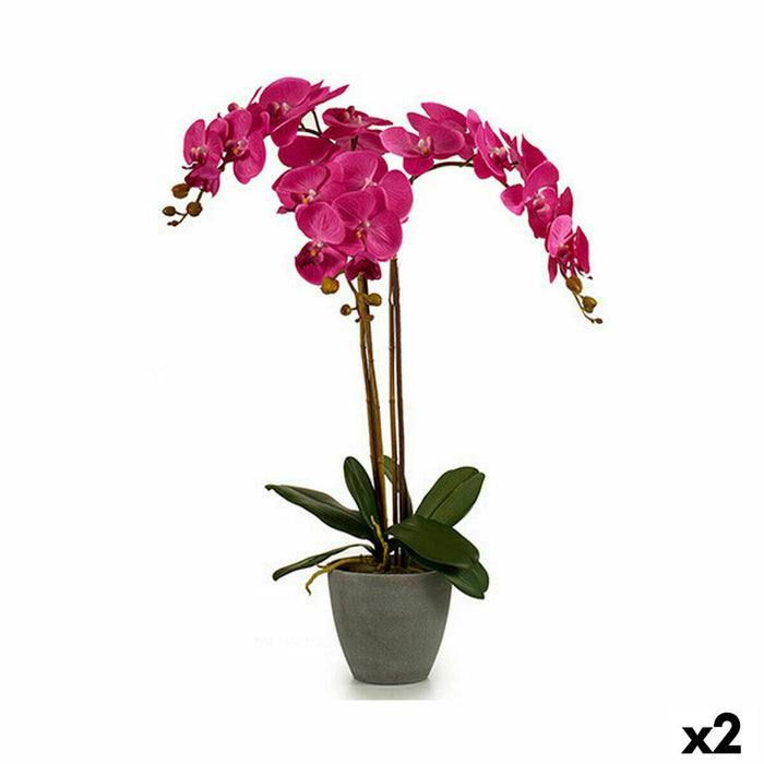 Plantă decorativă Orhidee Plastic 60 x 78 x 44 cm (2 Unități)