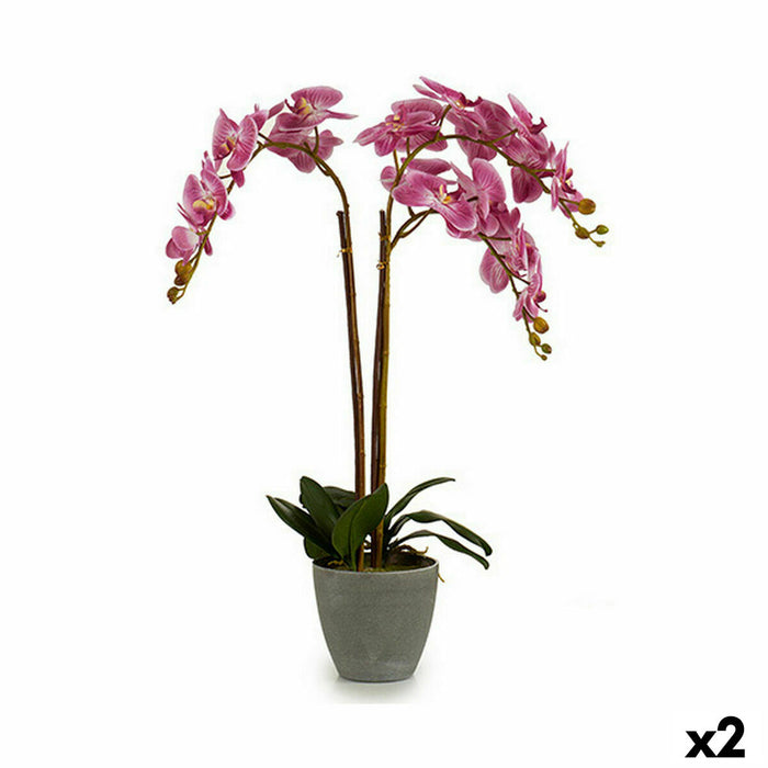Plantă decorativă Orhidee Plastic 33 x 77 x 33 cm (2 Unități)