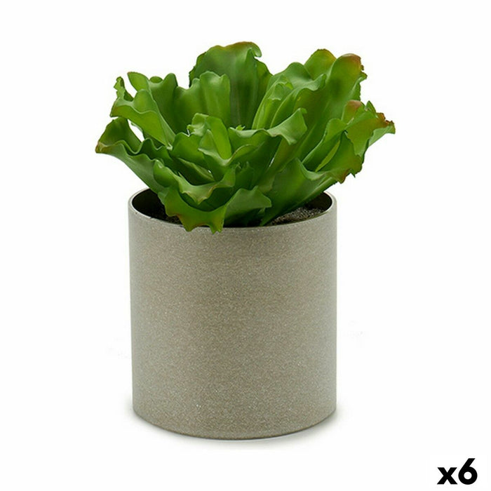 Plantă decorativă 20 x 25 x 20 cm (6 Unități)