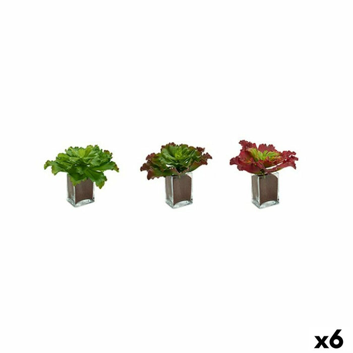 Plantă decorativă Frunze Mare Bicolor Plastic 31 x 24 x 31 cm (6 Unități)