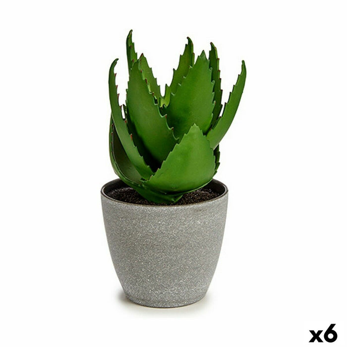 Plantă decorativă Aloe Vera 15 x 23,5 x 15 cm Gri Verde Plastic (6 Unități)