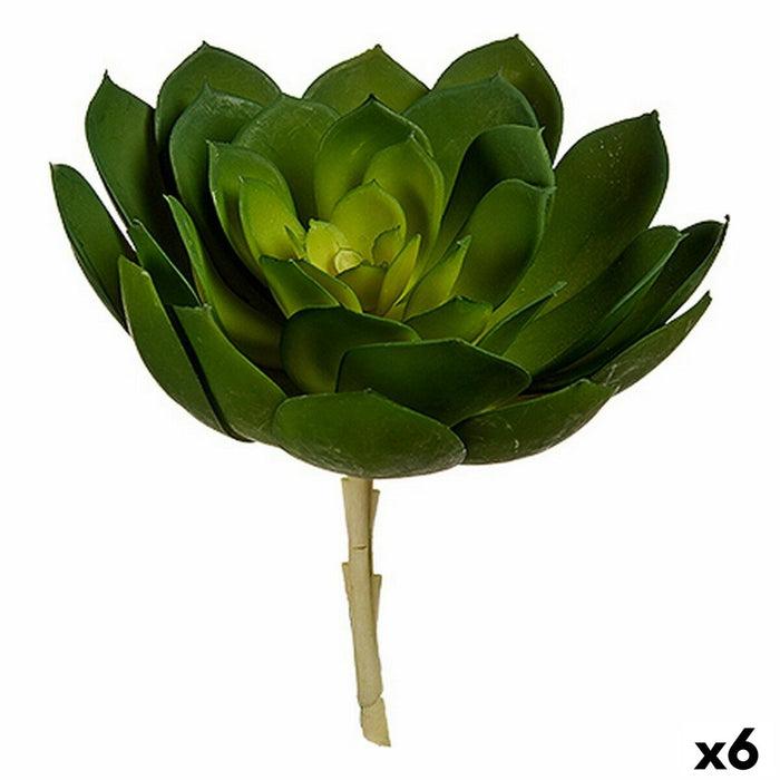 Plantă decorativă 22 x 19 x 19 cm Verde Plastic (6 Unități)