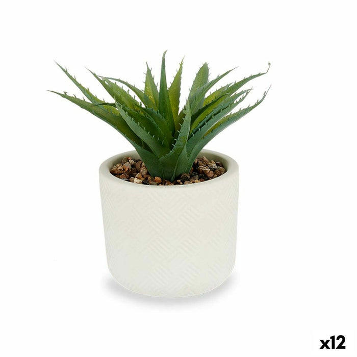 Plantă decorativă Suculent Plastic 14 x 18 x 14 cm (12 Unități)