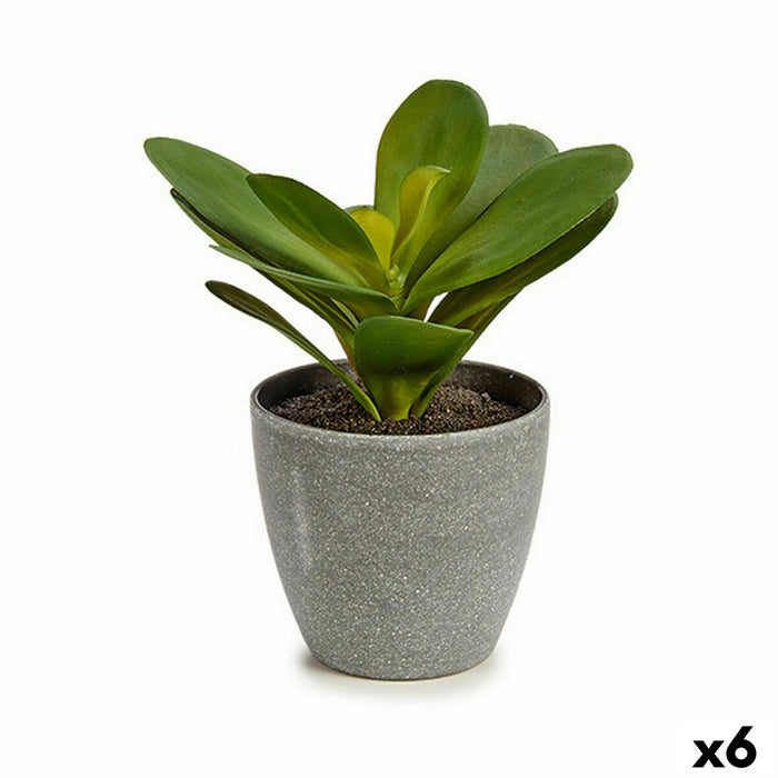 Plantă decorativă Frunze Rotundă Plastic 11 x 15 x 11 cm (6 Unități)