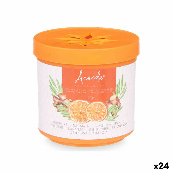 Odorizant Portocaliu Ghimbir 190 g (24 Unități)