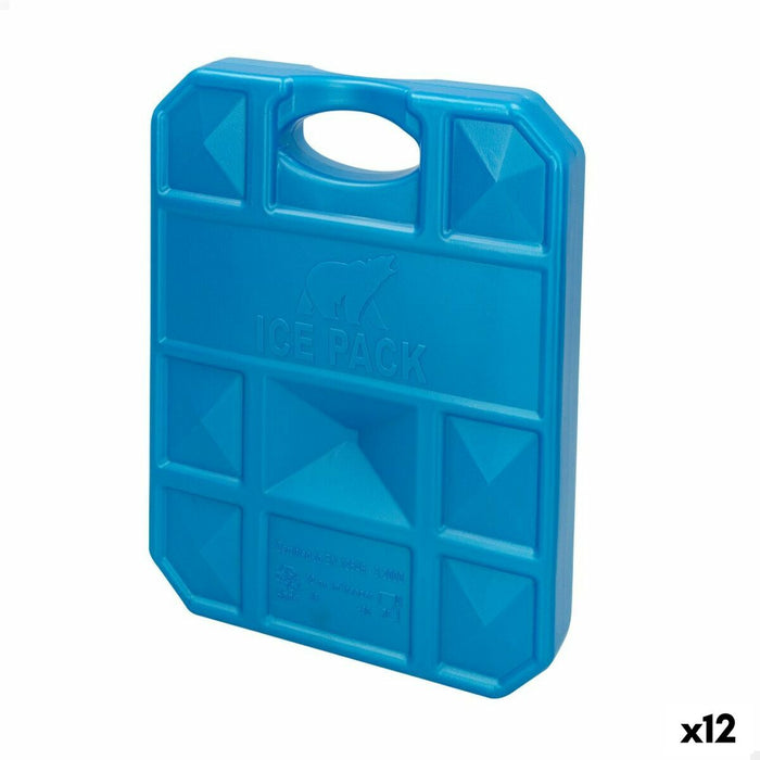 Acumulator de răcire Aktive Albastru 1 kg 18,5 x 24 x 3,3 cm (12 Unități)