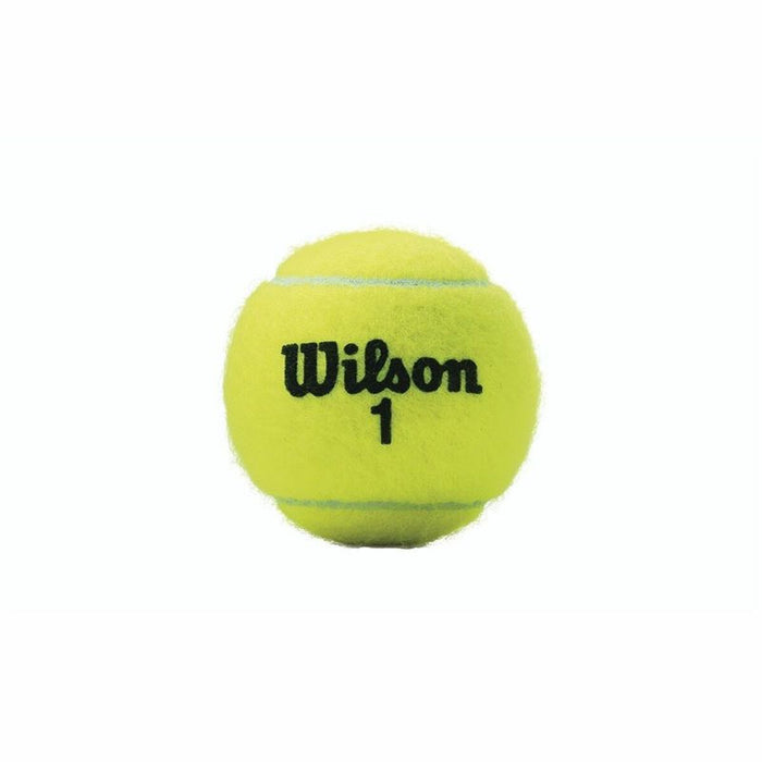 Mingi de Tenis Wilson Championship XD  (3 pcs)