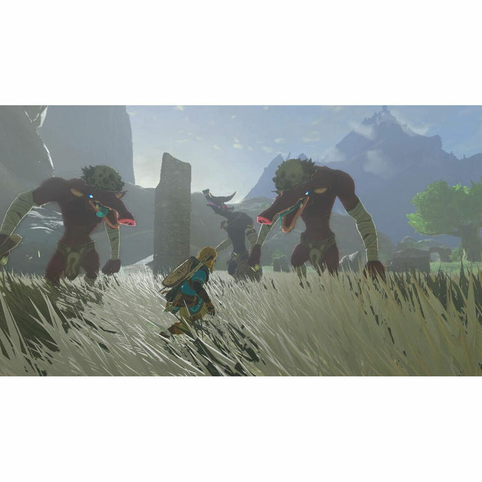 Joc video pentru Switch Nintendo ZELDA: TEARS OF THE KINGDOM