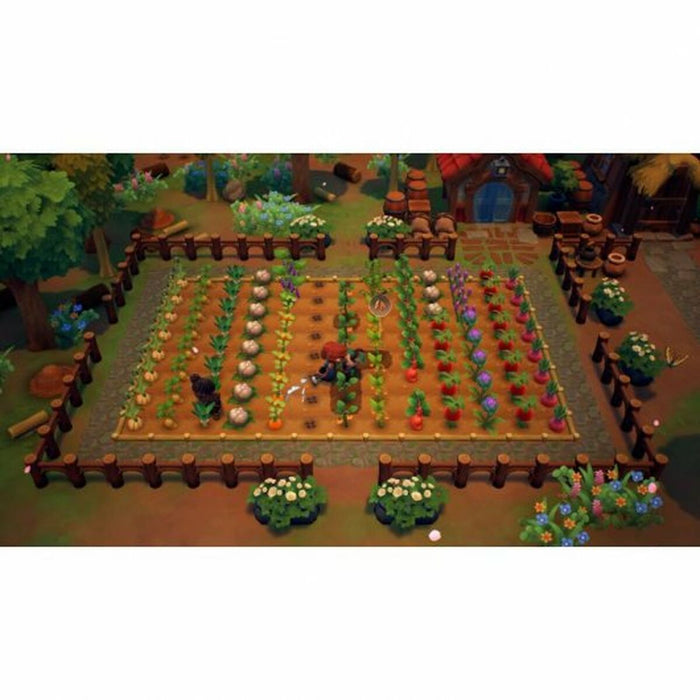 Joc video pentru Switch Nintendo Fae Farm