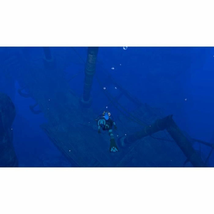 Joc video pentru Switch Nintendo ENDLESS OCEAN LUMINOUS