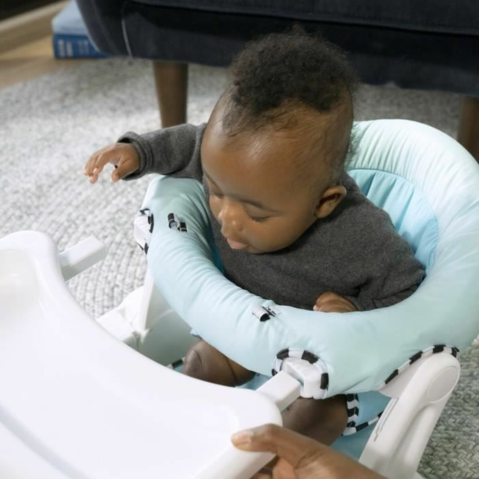 Hamac Baby Einstein Albastru