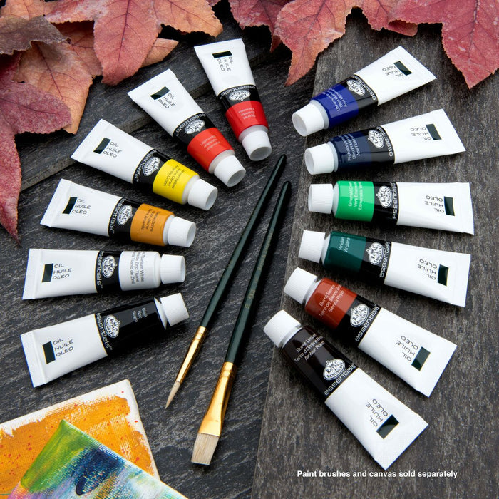Set de pictură în ulei Royal & Langnickel 14 Piese Multicolor