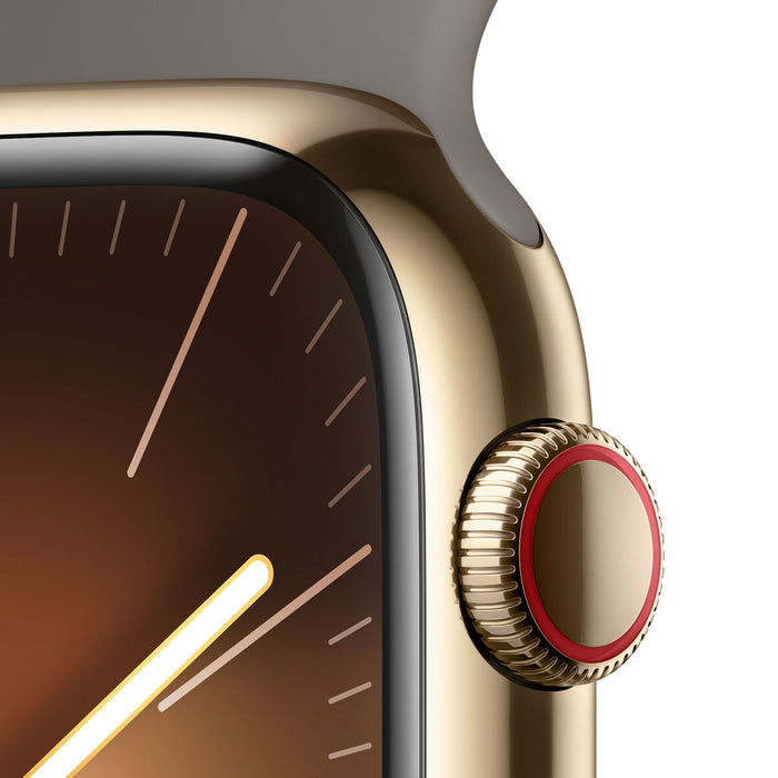 Smartwatch Apple Watch Series 9 Maro Auriu* 45 mm