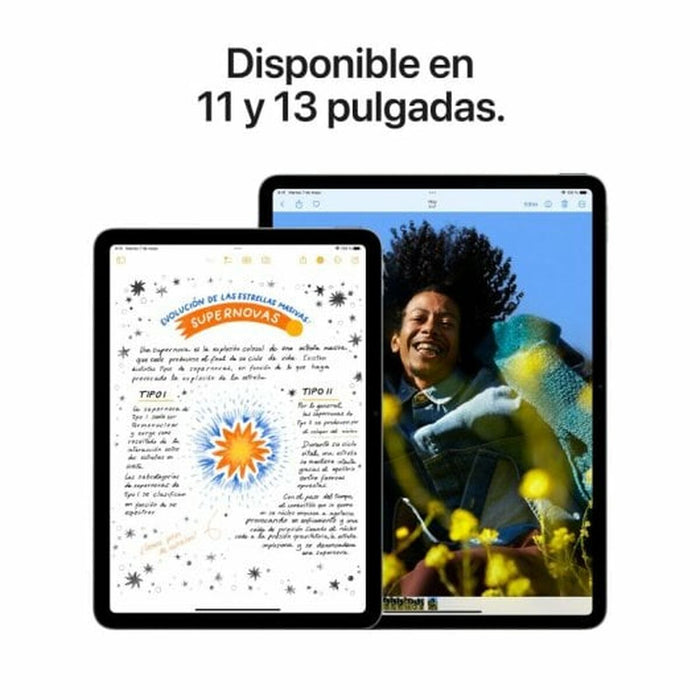 Tabletă Apple iPad Air 2024 M2 8 GB RAM 256 GB Gri