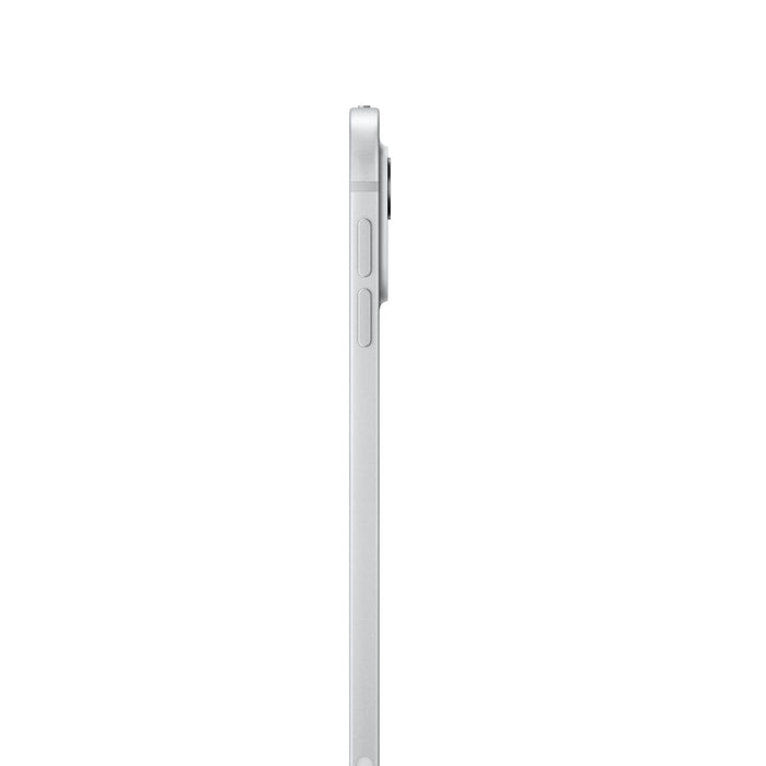 Tabletă Apple iPad Pro 11" 8 GB RAM 256 GB Argintiu Oțel