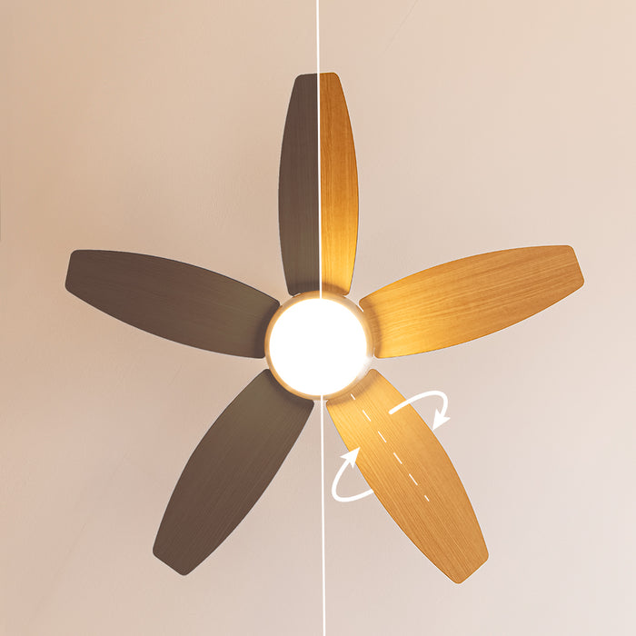 Ventilator de tavan cu iluminare Cecotec EnergySilence Aero 495, 55 W, diametru 106 cm, 3 trepte, telecomandă