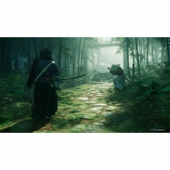 Joc video PlayStation 5 Sony Rise of the Ronin (FR)