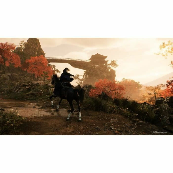 Joc video PlayStation 5 Sony Rise of the Ronin (FR)