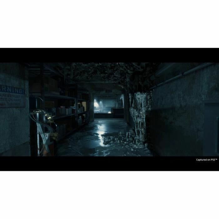 Joc video PlayStation 5 Sony Death Stranding