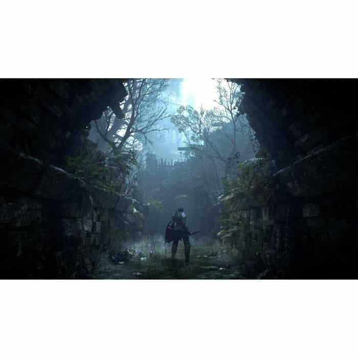 Joc video PlayStation 5 Sony Demon's Souls
