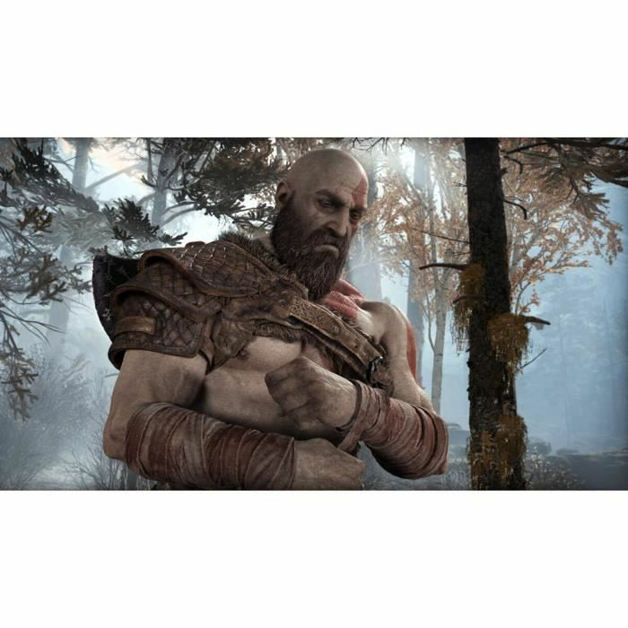 Joc video PlayStation 4 Santa Monica Studio Gof of War Playstation Hits
