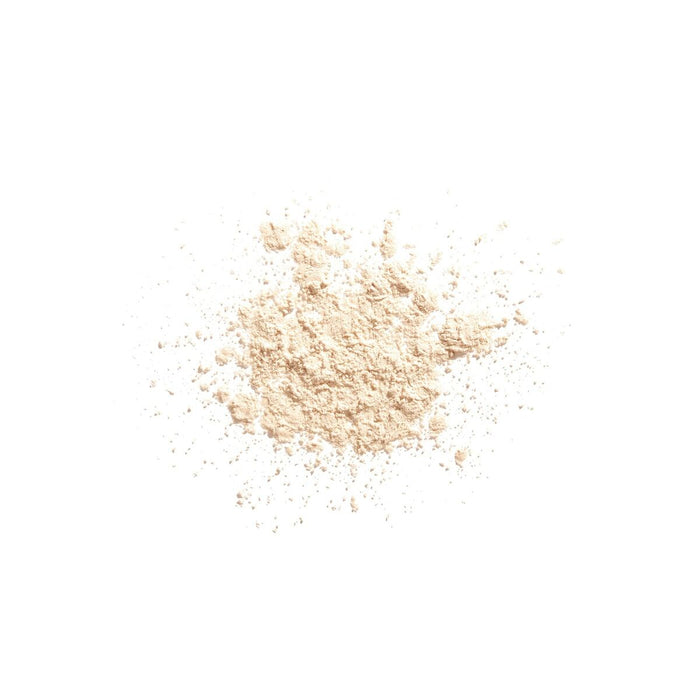 Praf in suspensie Shiseido Synchro Skin Matte 6 g