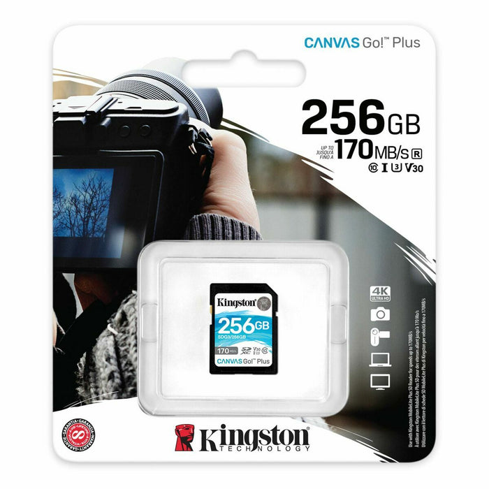 Card de Memorie SD Kingston SDG3/256GB