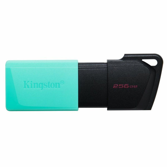 Memorie USB Kingston DataTraveler DTXM 256 GB 256 GB