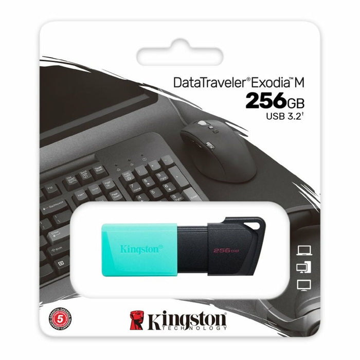 Memorie USB Kingston DataTraveler DTXM 256 GB 256 GB