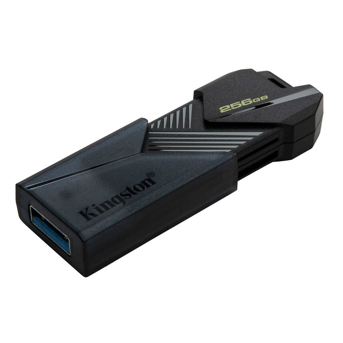 Memorie USB Kingston Negru 256 GB