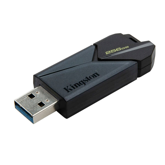 Memorie USB Kingston Negru 256 GB
