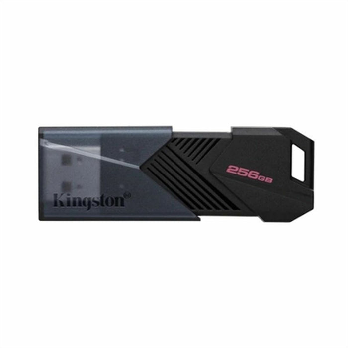 Memorie USB Kingston Negru 256 GB