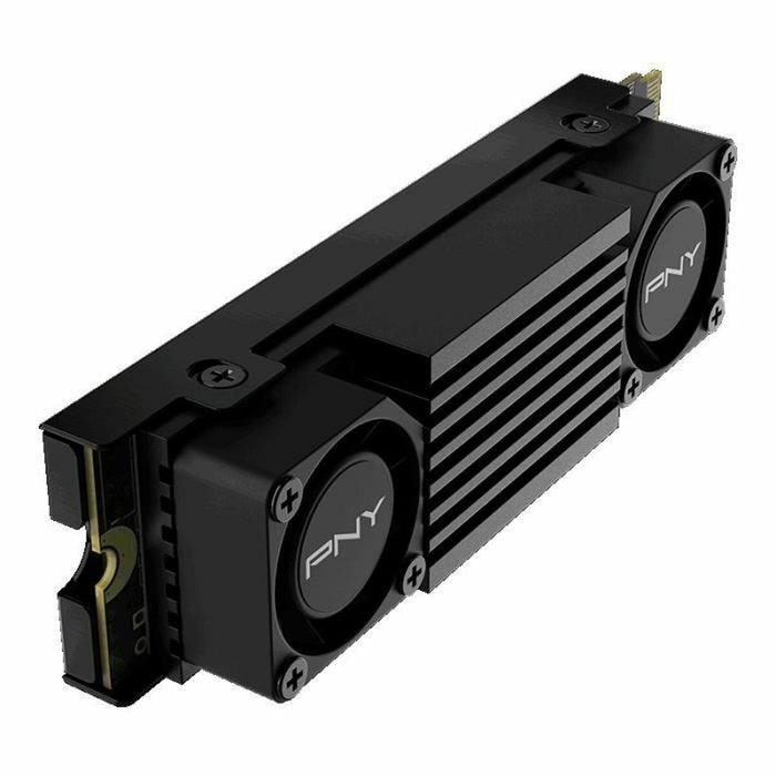 Hard Disk PNY CS3150 1 TB